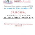 Дезинсекция подвальных помещений